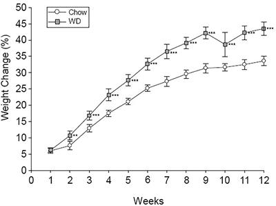 Integrative Longitudinal Analysis of Metabolic Phenotype and Microbiota Changes During the Development of Obesity